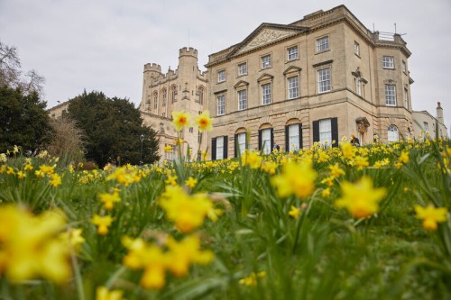 Royal Fort House in the background and bright yellow daffodils in the foreground.